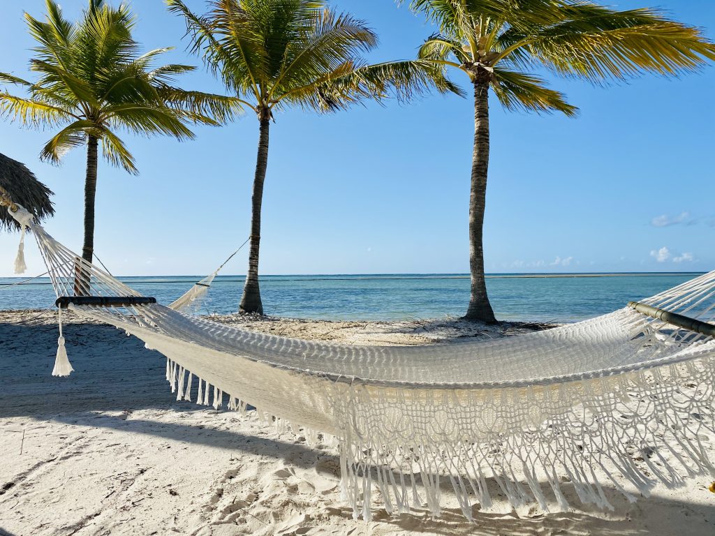 Relax Options Wellness Travel Guide: Discover Relaxation Options - Debi Kelley Travel